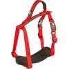 Image de Duvoplus - Hondentuigje - Hond - Explor North Harnas Nylon S 30-40cm/15mm Rood - 1st