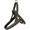 Image de Duvoplus - Hondentuigje - Hond - Explor East Harnas Nylon Xl 65-80cm/25mm Zwart - 1st