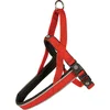 Image de Duvoplus - Hondentuigje - Hond - Explor East Harnas Nylon Xl 65-80cm/25mm Rood - 1st