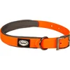 Image de Duvoplus - Halsband Voor Dieren - Hond - Explor South Halsband Pvc L 35-55cm/20mm Neon Oranje - 1st