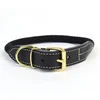 Image de Duvo+ EXPLOR Forest Halsband Nylon Zwart M - 47-51cm/8mm