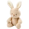 Image de Nattou TEDDY Knuffel Baby Konijn - 25 cm - Zachte baby knuffel - Baby cadeau - Beige5