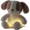 Image de Nattou TEDDY Baby Nachtlampje Hond - 19 cm - Zachte baby knuffel - Baby cadeau - Beige