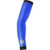 Image de Bioracer Spitfire Tempest Armwarmers Blauw S Man