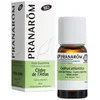 Image de Pranarôm Atlas Ceder Etherische Olie (Cedrus Atlantica) 10 ml
