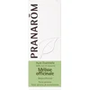 Image de Pranarom - Citroenmelisse - 5 ml