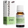 Image de Pranarôm Essentiële Olie van Chinese Kaneel (Cinnamomum Cassia) Bio 10 ml