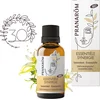 Image de Pranarom - Essentiële synergie - Bio - 30 ml