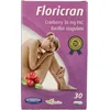 Image de Trenker Floricran 30 Capsules