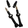 Image de Ptn Lufty 2 Tubeless Presta 60 Mm Kleppen Goud