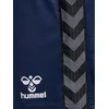 Image de Hummel damesshort Hmlauthentic Pl Shorts Woman