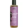 Image de Urtekram Tune in soothing lavender shampoo 250 Milliliter