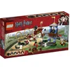 Image de LEGO Harry Potter Zwerkbalwedstrijd - 4737