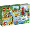 Image de LEGO DUPLO Dieren van de Wereld - 10907