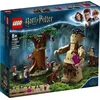 Image de LEGO Harry Potter Het Verboden Bos: Omber's ontmoeting met Groemp 75967