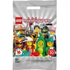 Image de LEGO Minifigures Serie 20 71027