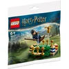 Image de LEGO 30651 Harry Potter Zwerkbal Training Polybag