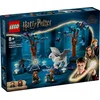 Image de LEGO Harry Potter Verboden Bos: magische wezens - 76432
