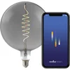 Image de Nordlux G200-lichtbron-smart-deco filament-spiral-E27-smoke glas-1800K