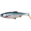Image de 3D RIVER ROACH 10CM 10G