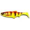 Image de 3D RIVER ROACH 10CM 10G GOLDEN AMBULANCE