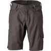 Image de Mascot Accelerate Shorts 22049-230 - donkerantraciet - C47
