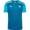 Image de Hummel Real Betis 24/25 Derde T-shirt Met Korte Mouwen Blauw M