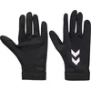 Image de Hmlpro Gloves