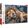 Image de Trefl Slapende Leeuw puzzel - 1000 stukjes