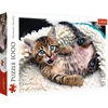 Image de Trefl Happy Kitten puzzel - 1000 stukjes