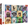 Image de Trefl Grappige Honden puzzel - 1000 stukjes