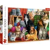 Image de Katten - 1000 stukjes puzzel - Trefl