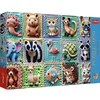 Image de PUZZEL 1000 Trefl Premium Plus Gehaakte dieren 12093 - PUZZLE 1000 Trefl Premium Plus Szyde kowe zwierz tka 12093