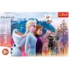 Image de Puzzel D2:D120 Frozen 2 maxi: 24 stukjes