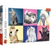 Image de Trefl Katjes puzzel - 500 stukjes