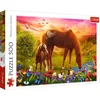 Image de Trefl legpuzzel paarden dieren 500 stukjes karton.