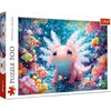 Image de Puzzle Aksolotl 500 - Puzzel Axolotl 500