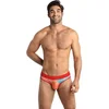 Image de ANAIS MEN SLIP and THONG | Anais Men - Falcon Slip Xl