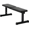 Image de Rebel Active RBA-2000 - Trainingsbank - Roestvrij Staal - Comfortabele Zitting