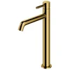 Image de OMNIRES Y - Wastafelkraan, goud Y1212GL