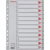 Image de Esselte Kunststof Index 1-12 met Perforatiegaten - Tabblad voor A4 Documenten - Grijs