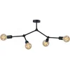Image de Nowodvorski Twig Plafondlamp - L 79 cm H 54 cm - E27 - Zwart
