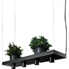 Image de Nowodvorski - Hanglamp Plant 4 lichts L 80 cm B 24 cm zwart