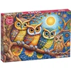 Image de Moonlight Owls Puzzel 500 Stukjes
