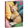 Image de I'm in Charge Here Puzzel 500 Stukjes