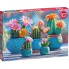 Image de Bloomy Cactus Fireworks Puzzel 1000 Stukjes