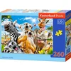 Image de Castorland Afrikaanse Dieren - Puzzel 260 stukjes