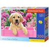 Image de Castorland Labrador Puppy in Pink Box   Puzzel   300 stukjes   Puppy   Premium kwaliteit