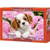 Image de Castorland Pup in Pink Flowers   Puzzel   500 stukjes   Satijnen afwerking   Perfecte pasvorm   Europese kwaliteit