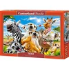 Image de Castorland African Selfie   Puzzel   500 stukjes   Satijnen afwerking   Perfecte pasvorm   Europese kwaliteit